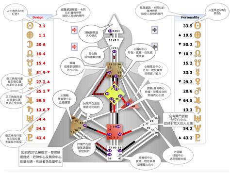 人類圖怎麼看|如何看懂人类图：解释与定义